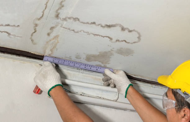 Reliable Emergency Water Damage Restoration contractor in Fairhaven, MA by Water Damage Irwin